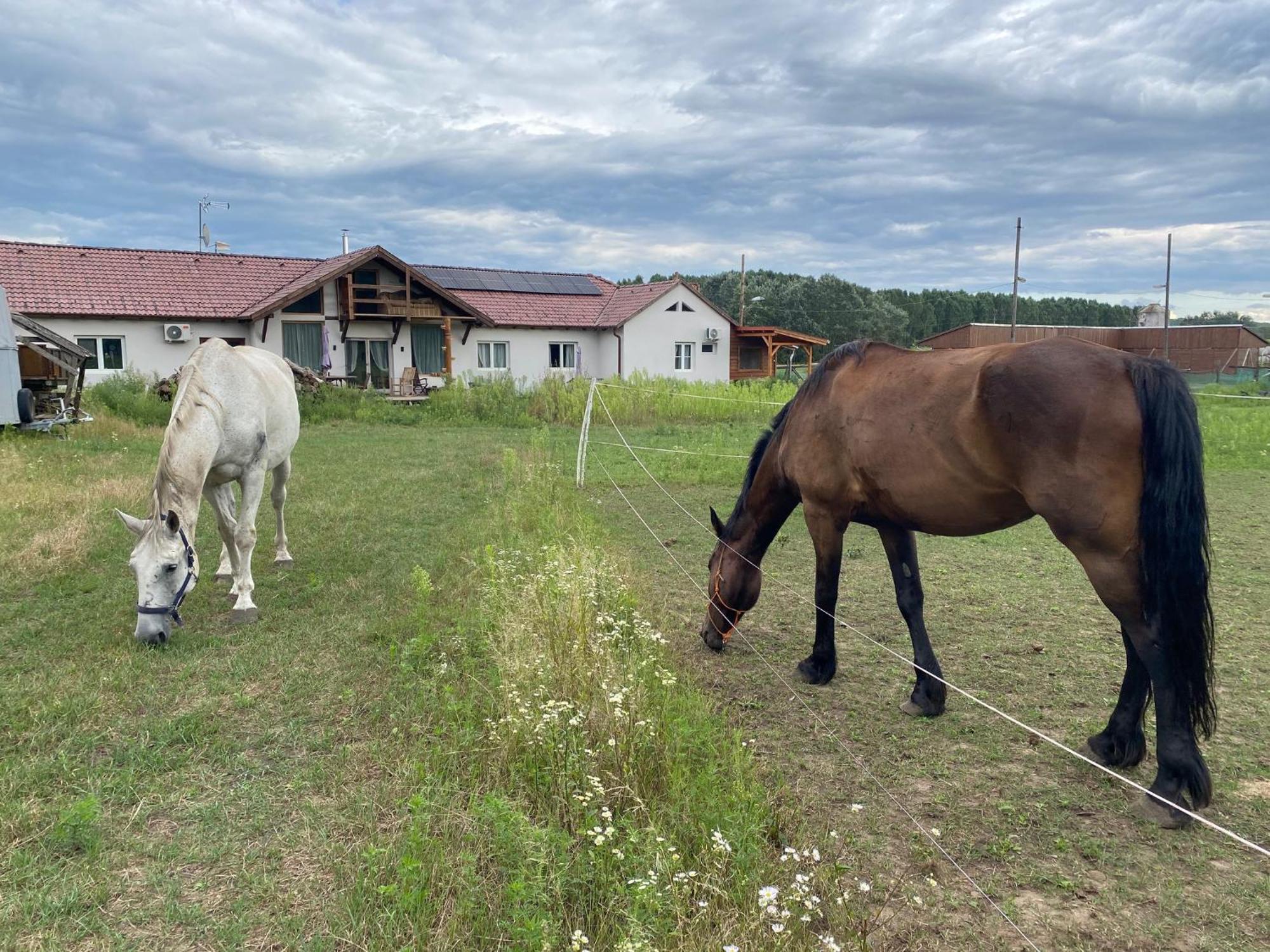 Tuender Pension Mogyoród Exterior foto